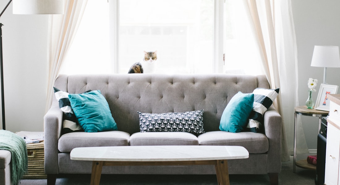 Salon avec un sofa à remplacer