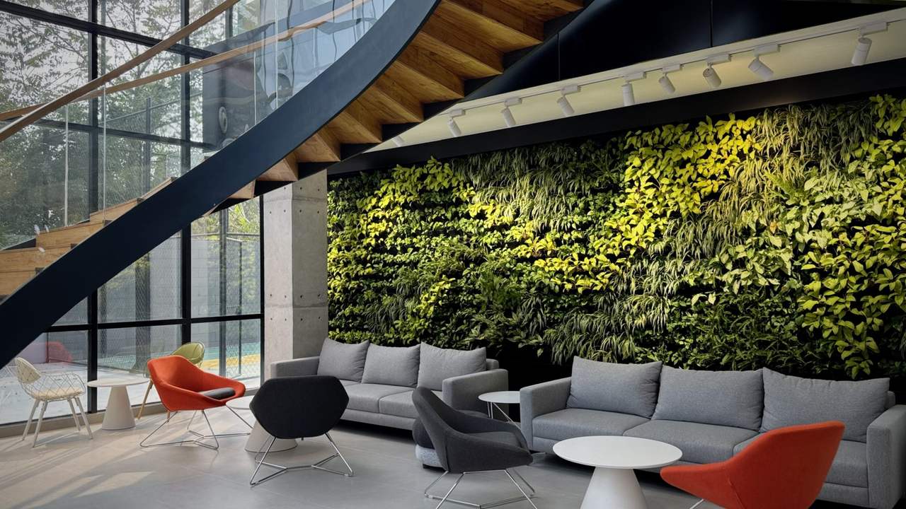 Aire de détente contemporaine avec sofas gris et mur végétal